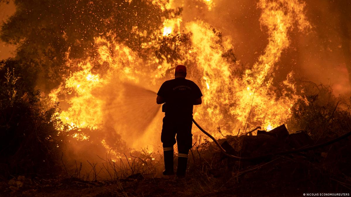 Wildfire events for Unforgettable Kids Parties